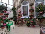 Gostevoy dom Uyut (Avtomobilny pereulok, 10), hotel