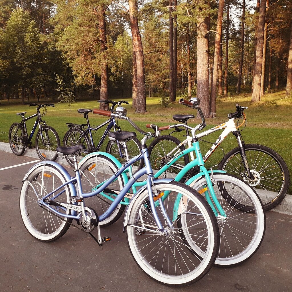 Bicycle shop VeloDream, Molodcheno, photo