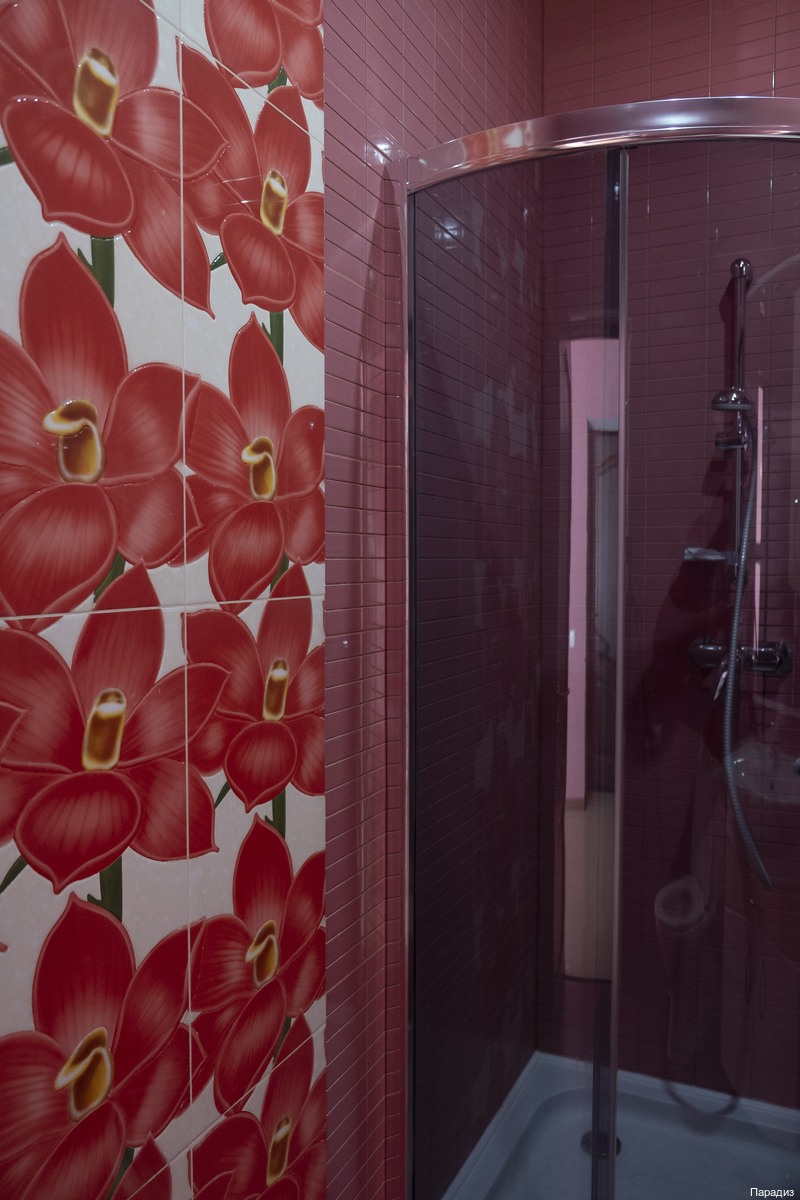 Фото Парадиз