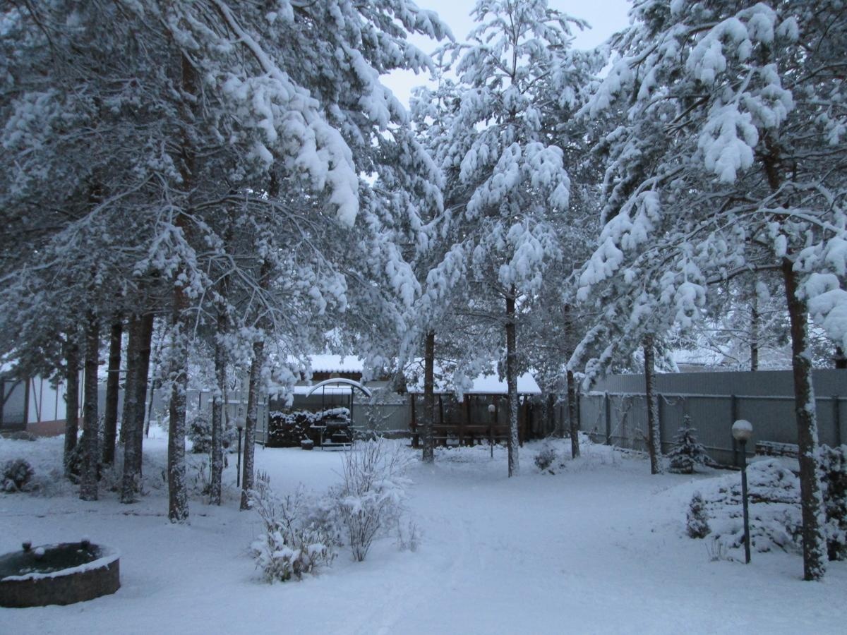 Фото Дом под соснами