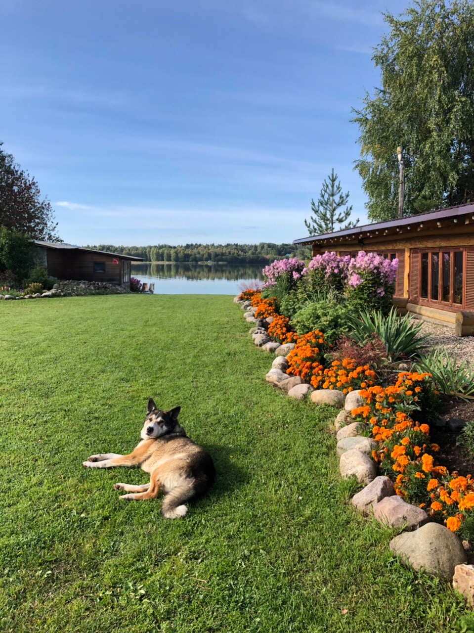 Фото Экотель