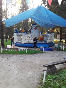 Парк надувных аттракционов (Kostroma Region, Sharya), amusement park