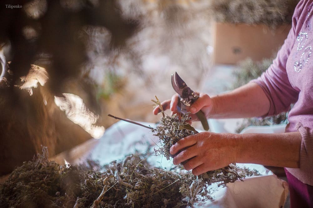 Фото Хижина Индиры