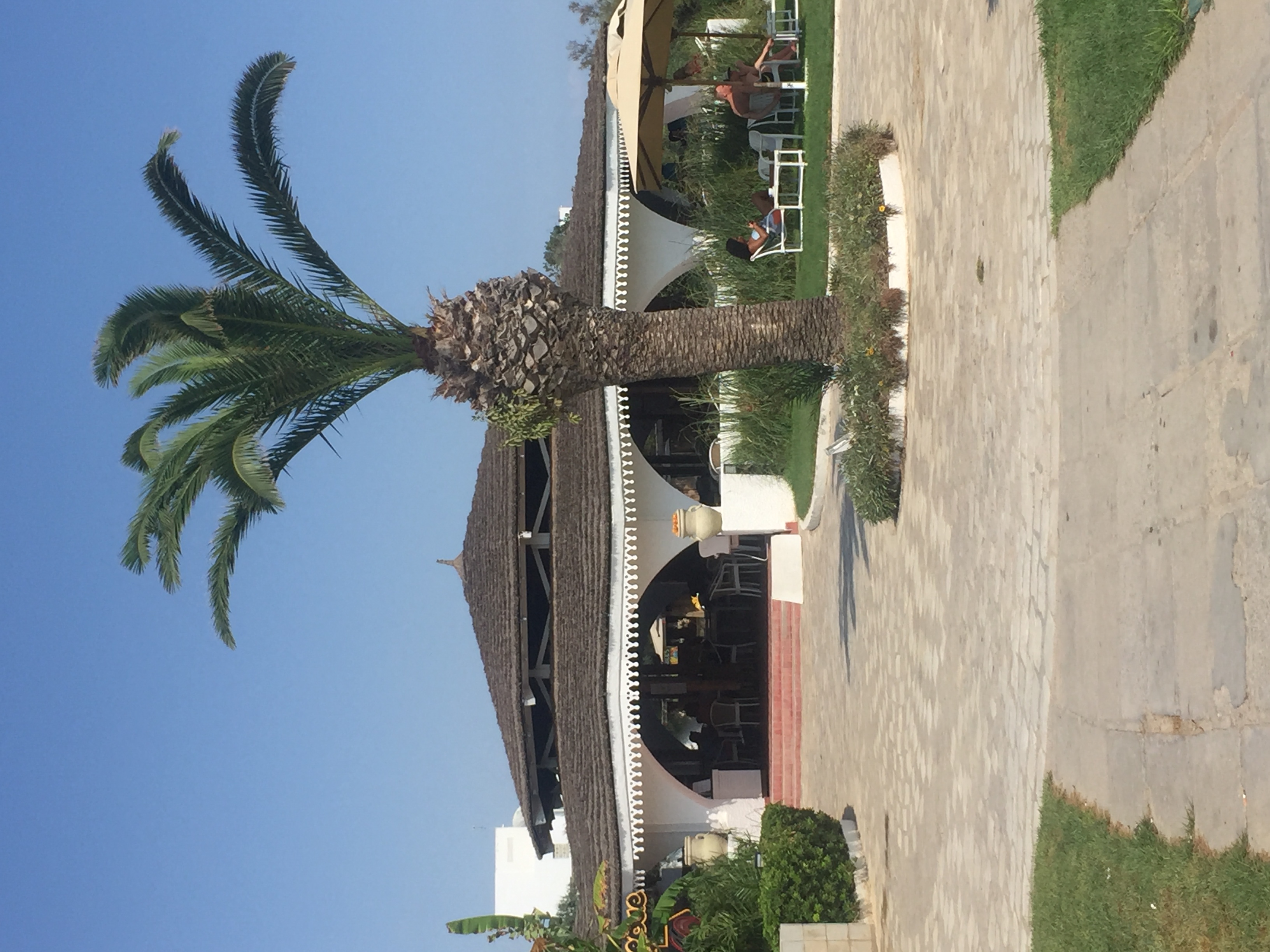 Фото Sentido Phenicia