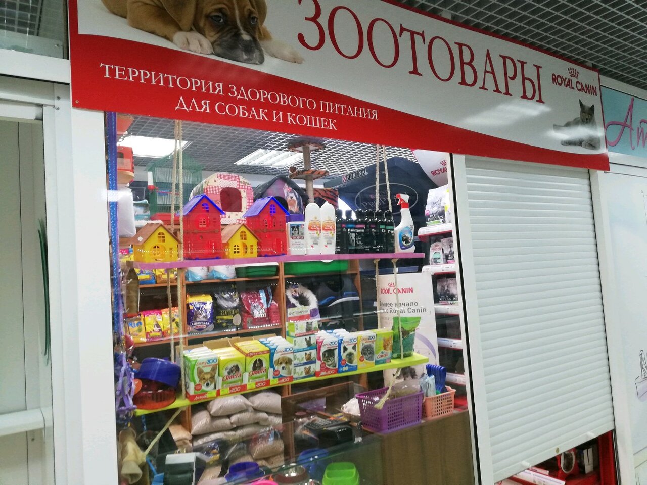 Зоомагазин Сургут Интернет Магазин