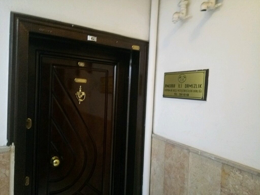 Animal farm Ankara Province Breeding Sheep and Goat Breeders Association, Ankara, photo