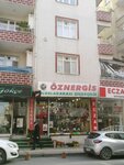 Öznergis Uluslarası Çiçekçilik (Fatih Cad., No:38B, Bahçelievler, İstanbul, Türkiye), çiçekçiler  Bahçelievler'den