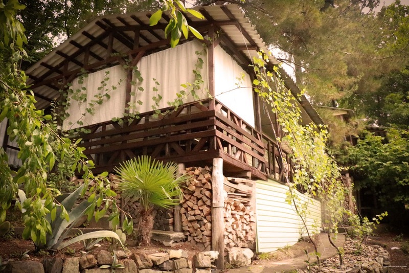 Фото Сосновый Бор