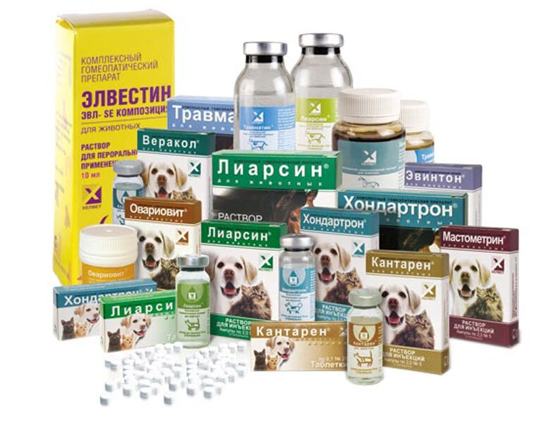 Ветаптека 1 Интернет Магазин