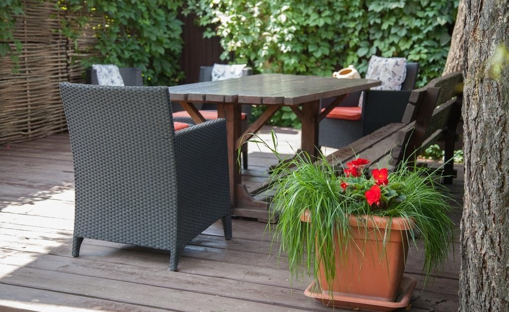 Фото Атланта Шереметьево