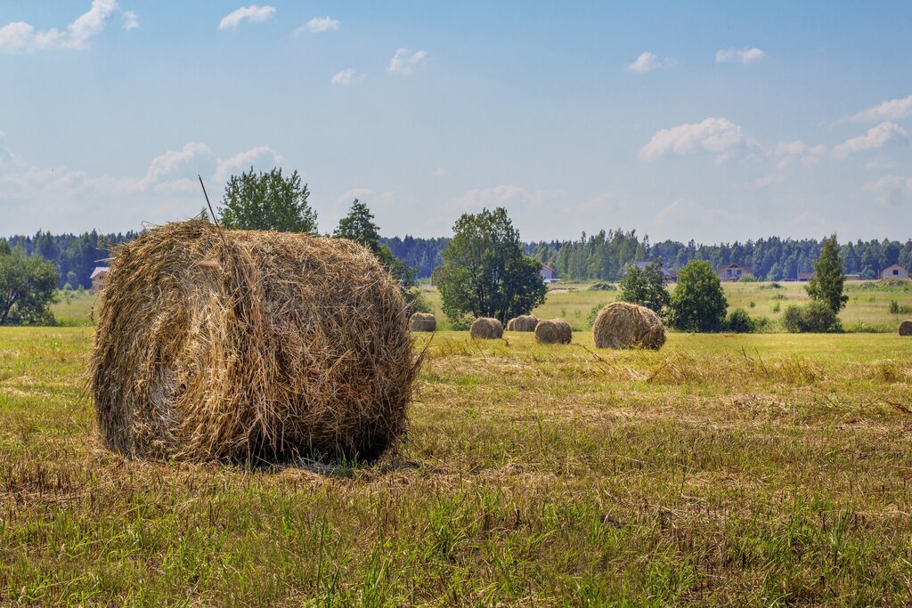 Земельные участки Услада, Санкт‑Петербург, фото