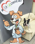Vet Global (Turistskaya Street, 13к2), clínica veterinaria