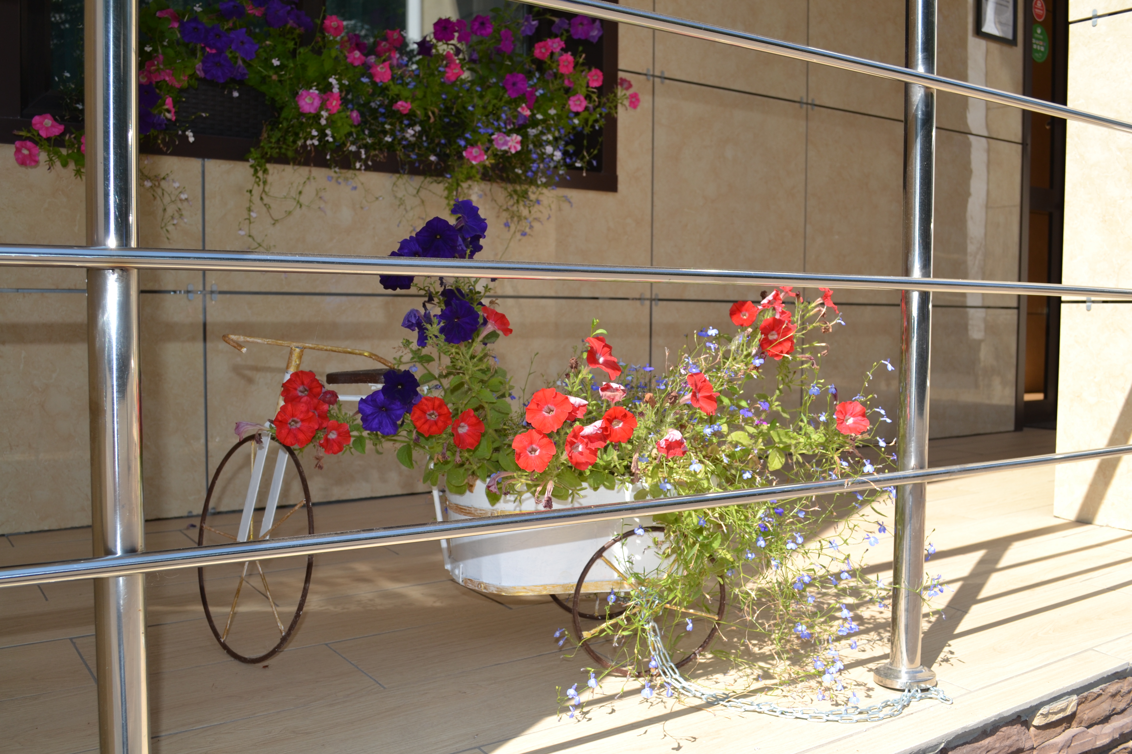 Фото Винсент