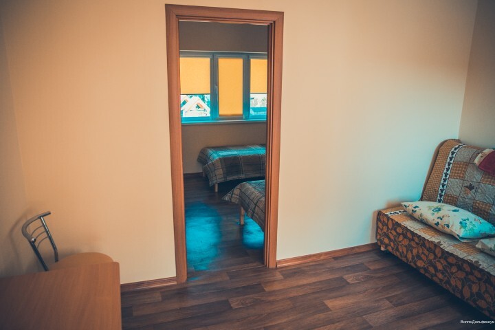 Фото Дельфиниум