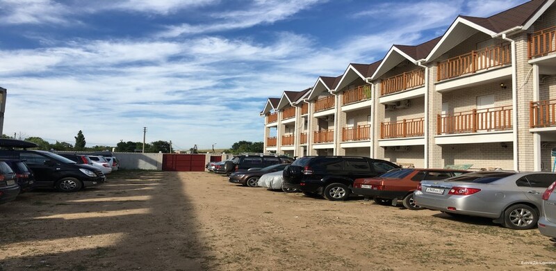 Фото Дельфиниум