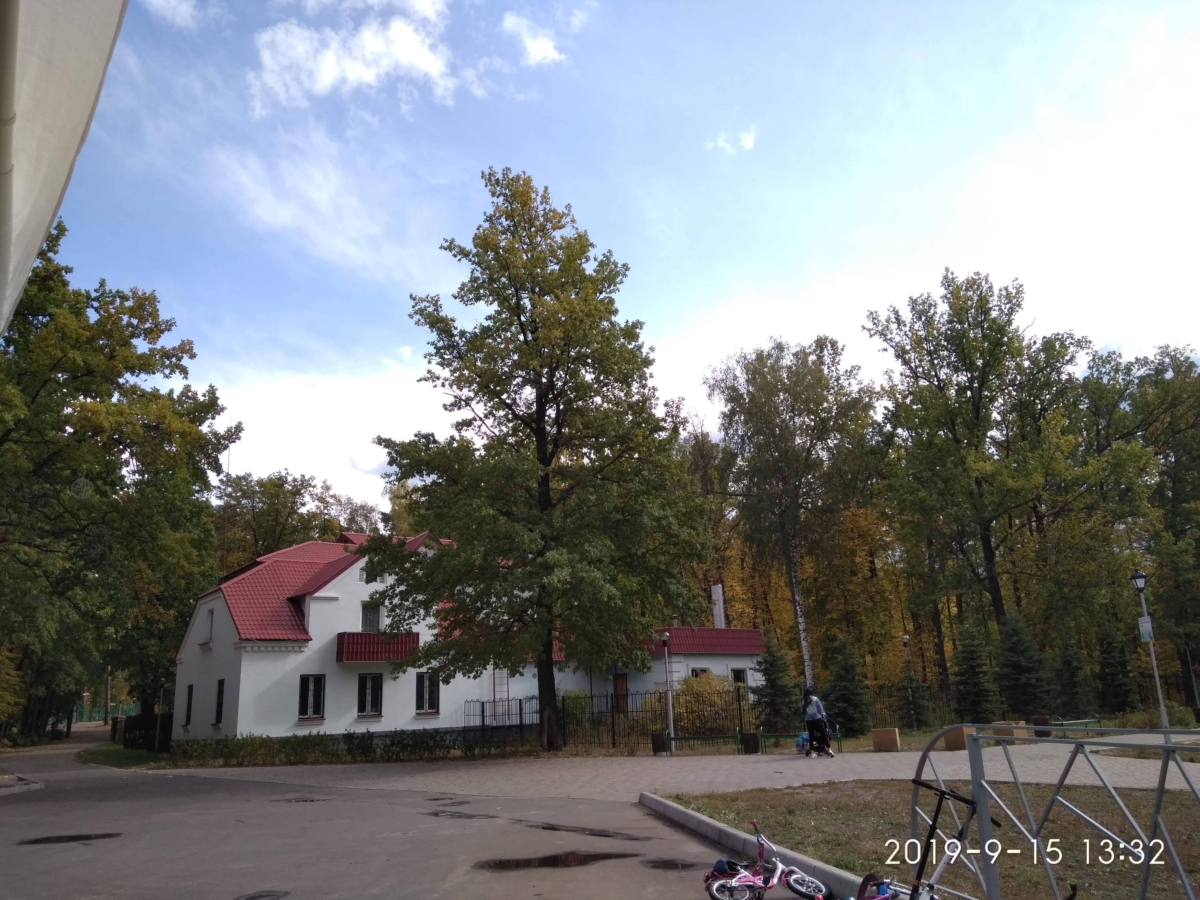 Фото Лесная