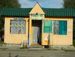 Ручеёк (Bryansk Region, Unechskiy rayon, Starogutnyanskoye selskoye poseleniye, derevnya Peschanka, Shkolnaya ulitsa), grocery