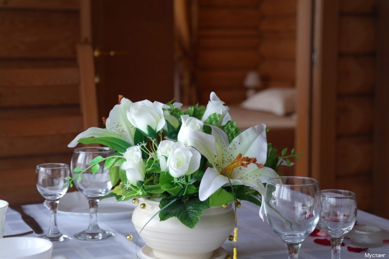 Фото Мустанг