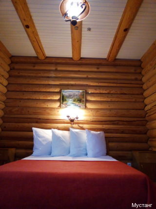 Фото Мустанг