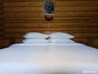 Фото Мустанг