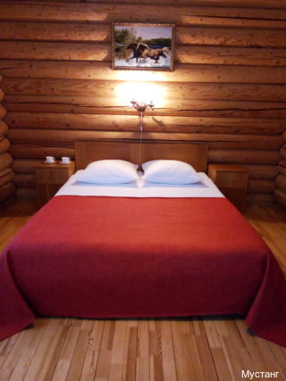 Фото Мустанг