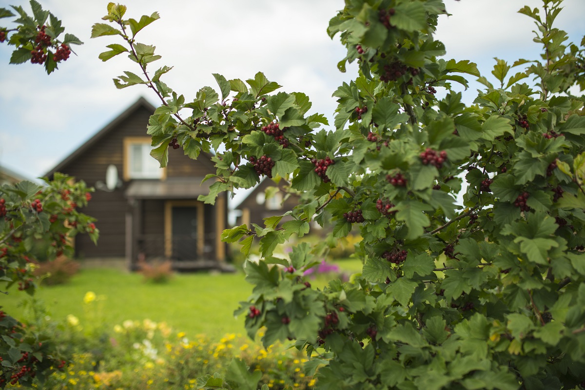 Фото Суздальский Дворик