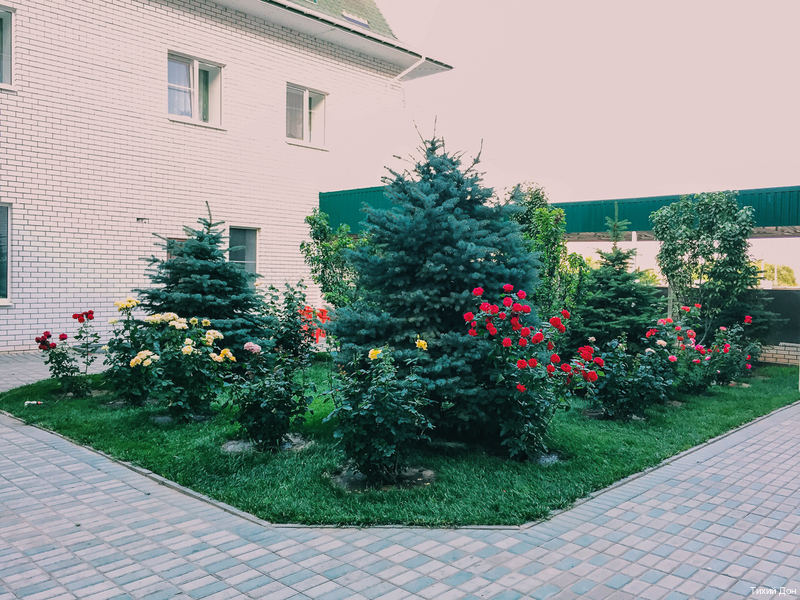 Фото Тихий Дон