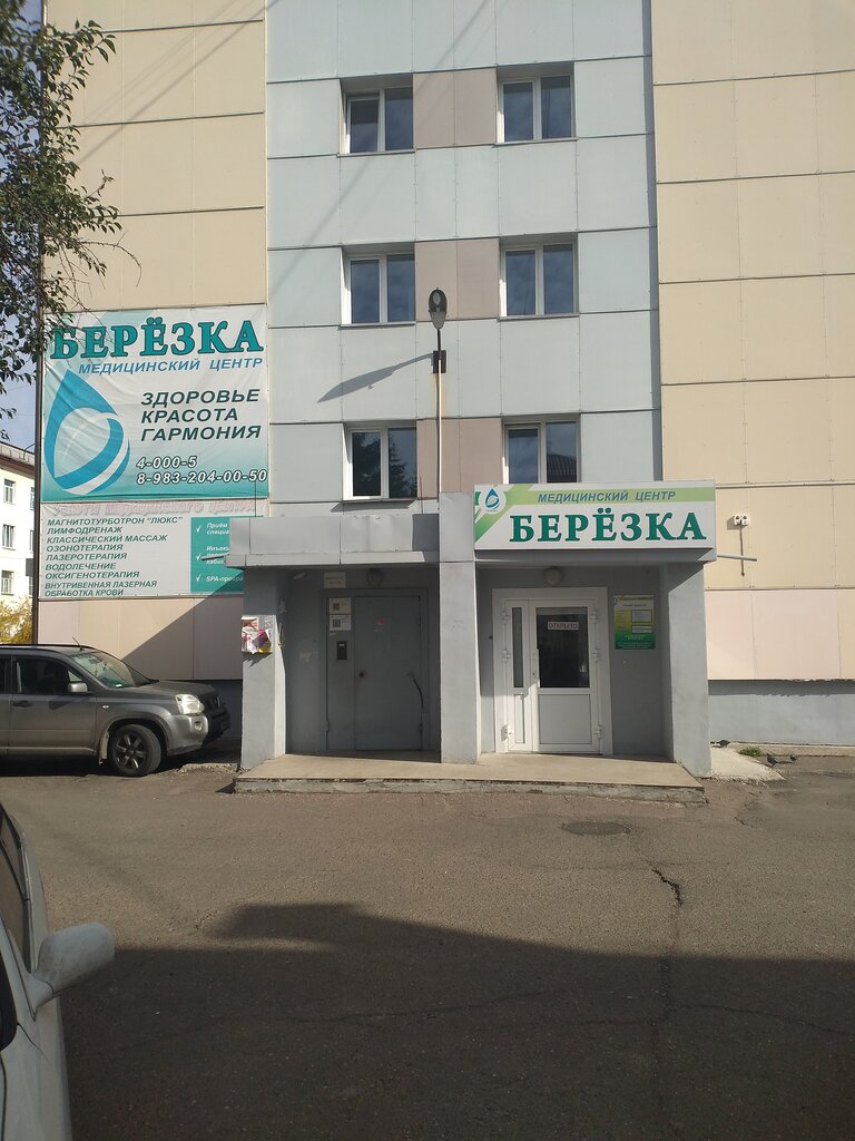 Лада деталь березка