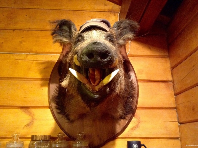 Фото Академия уюта