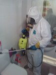 Dezinfection service (Gostinichnaya Street, 3), desinfección, desinsectación, desratización