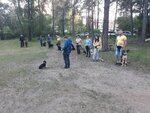 Городская спортивная школа дрессировки собак (ул. Громовой, 10Г), зооцентр, клуб любителей животных в Тольятти