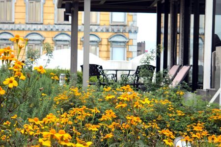 Фото The Riviera Hotel