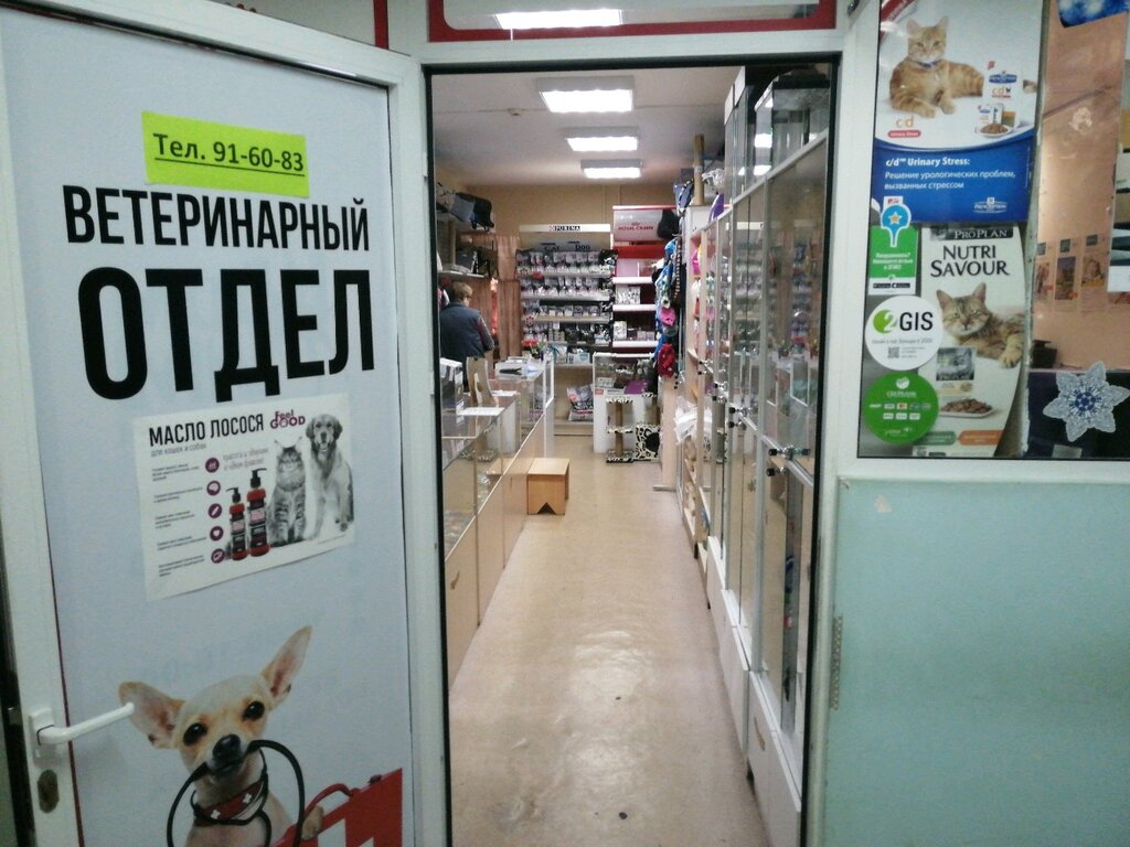 Интернет Магазин Зоотоваров Ярославль