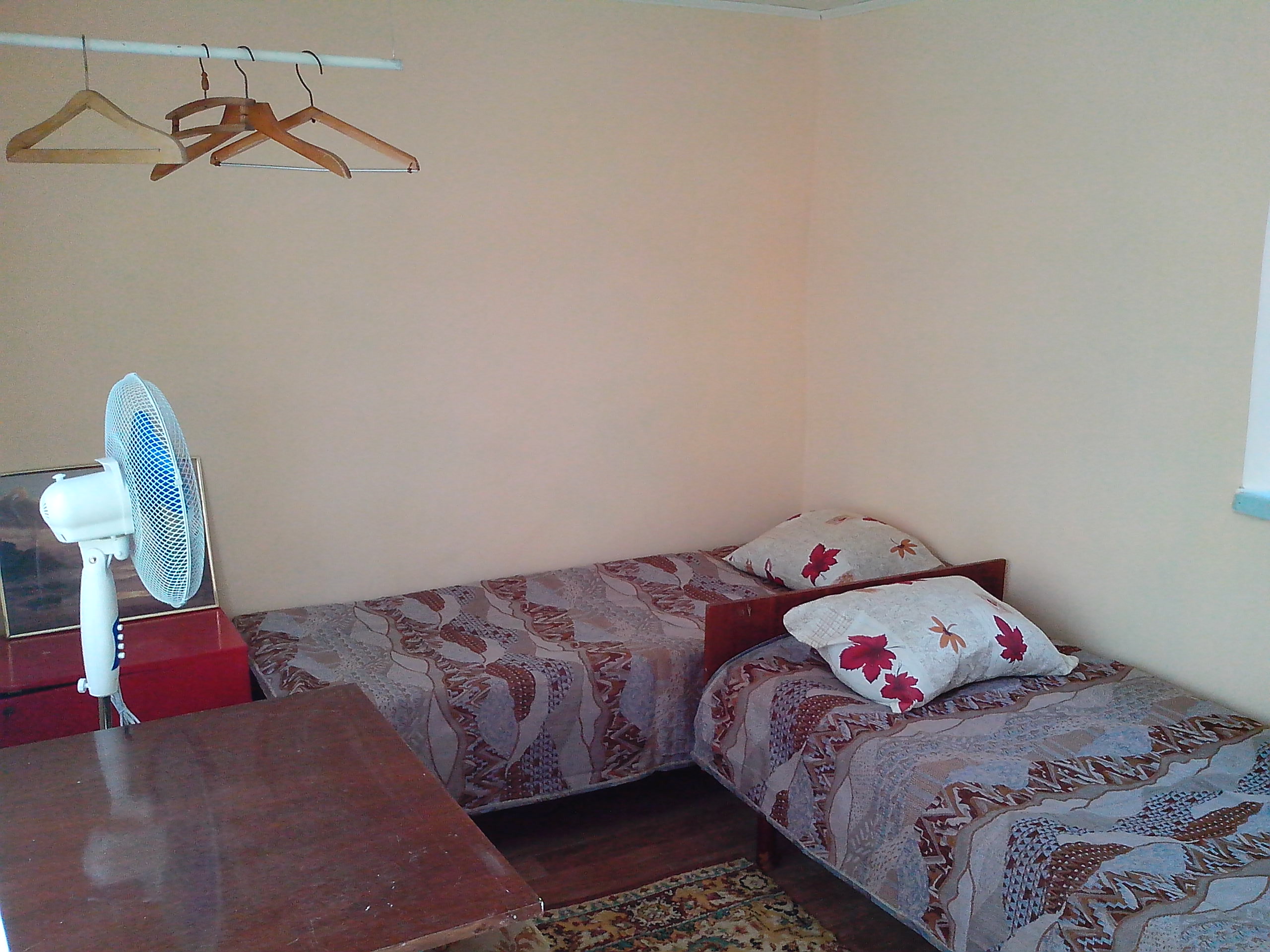 Фото Золотая Рыбка