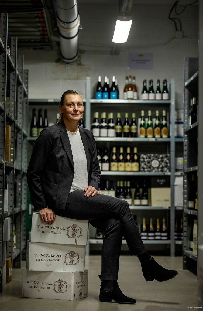 Фото Gothia Towers