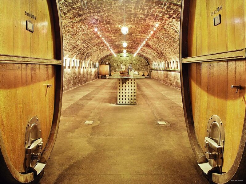 Фото Maritim Hotel Mannheim