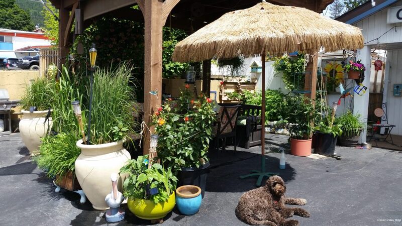 Фото Creston Valley Motel