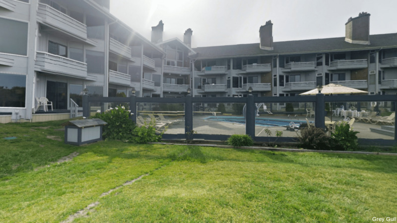 Фото The Grey Gull