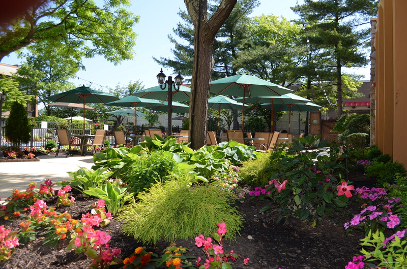 Фото Holiday Inn Westbury - Long Island, an Ihg Hotel