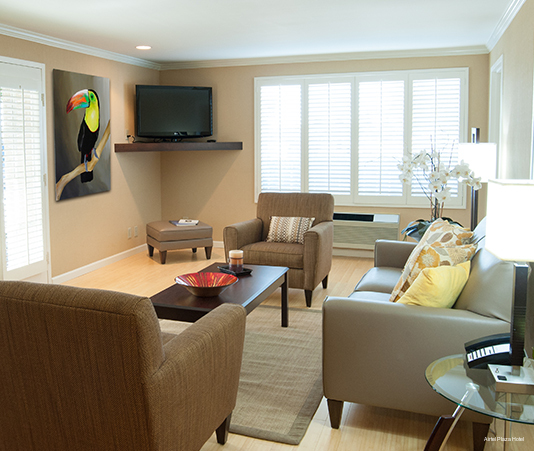 Фото Airtel Plaza Hotel