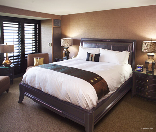 Фото Airtel Plaza Hotel