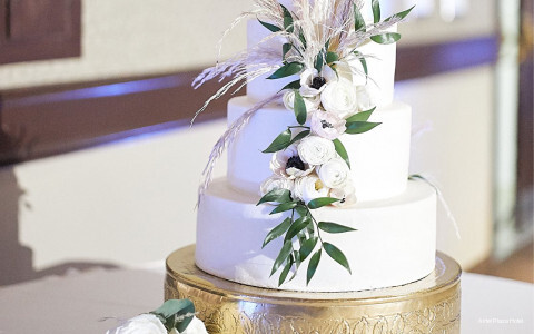 Фото Airtel Plaza Hotel