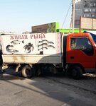 Live Fish (Anapa, proyezd Soldatskikh Materey, 10), market
