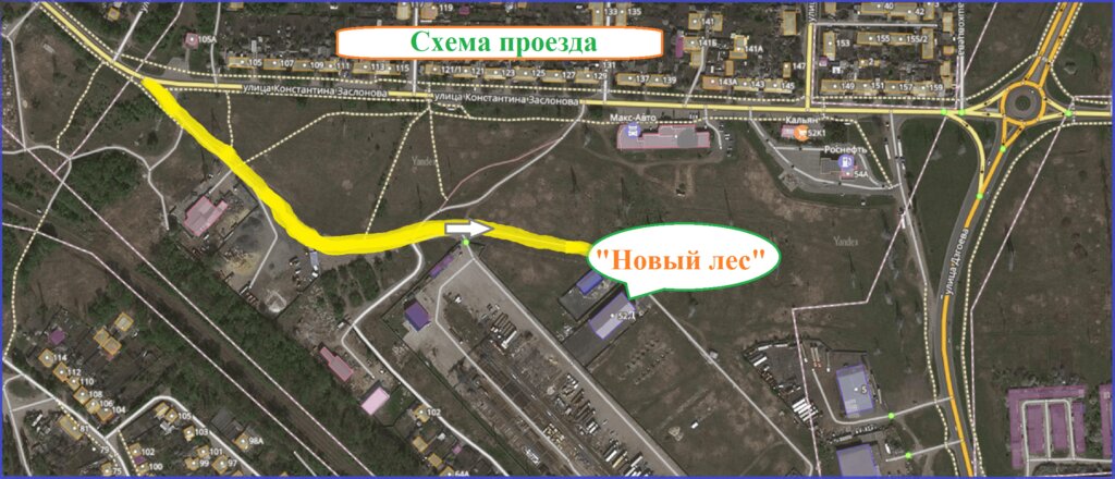 Новый Лес Магазин