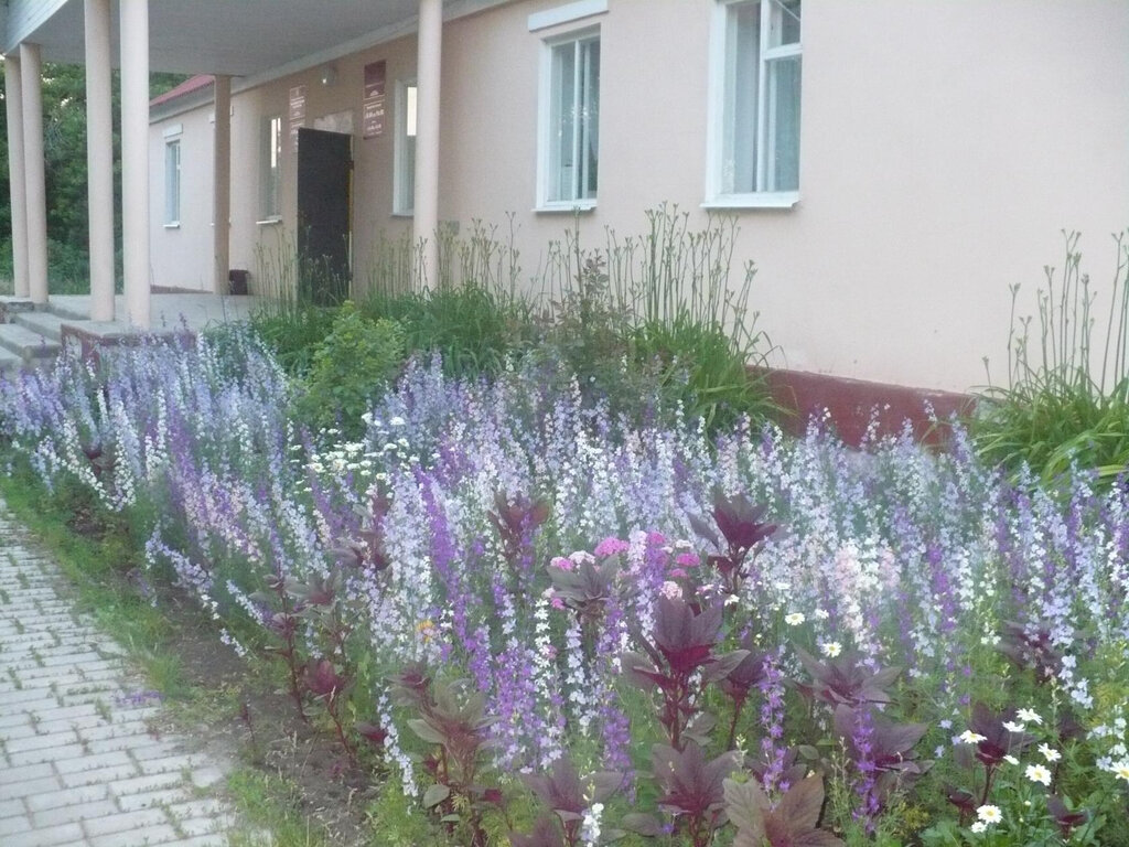 Library Масловская библиотека-филиал, Belgorod Oblast, photo