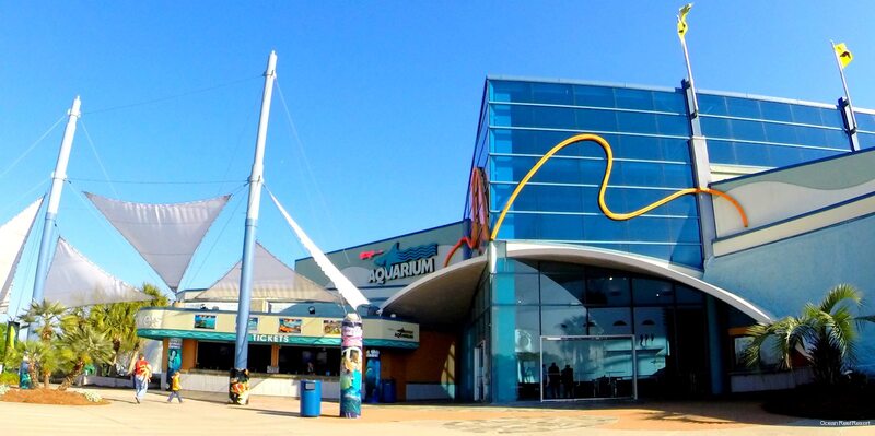 Фото Ocean Reef Resort