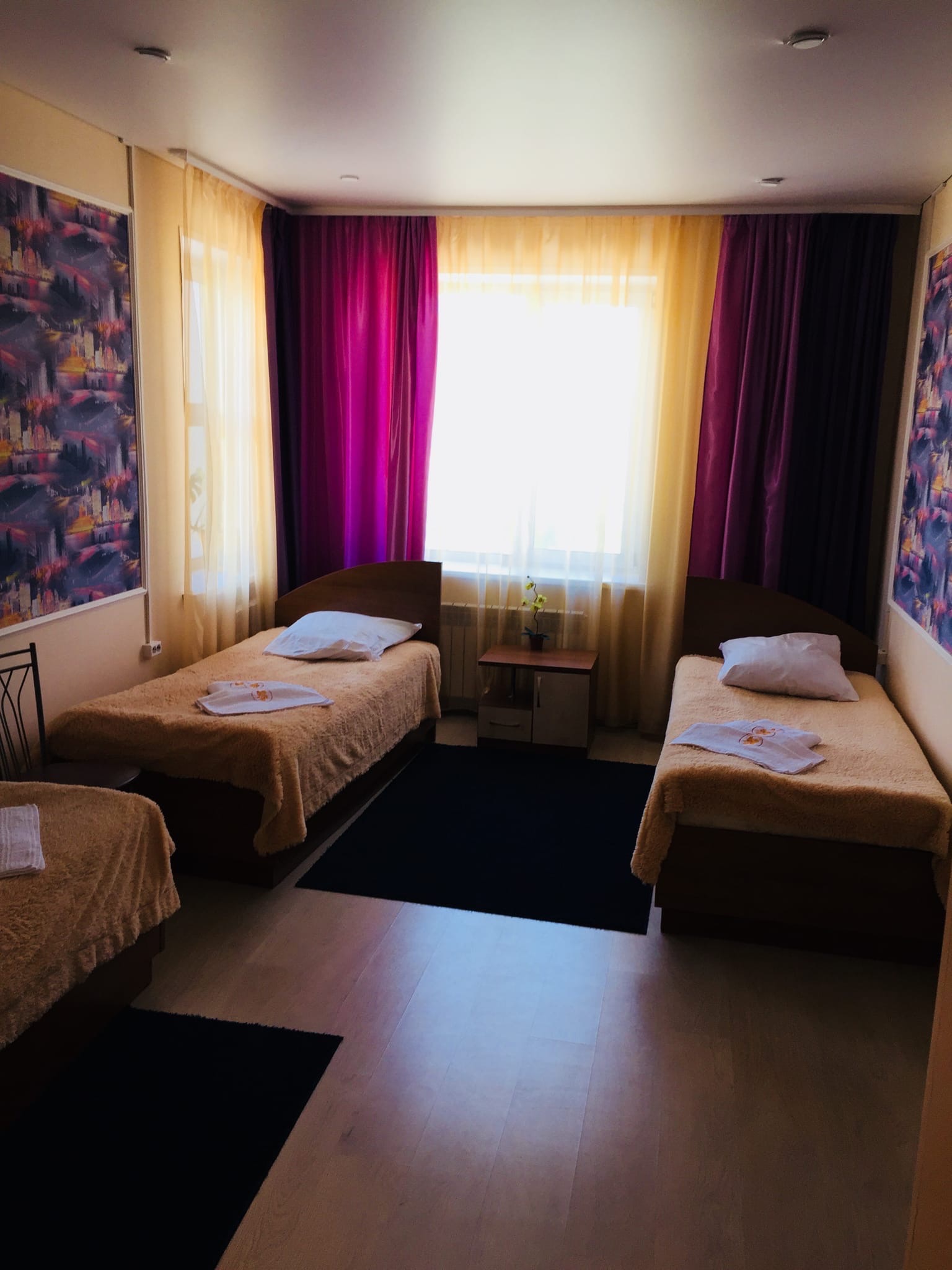 Фото Золотая рыбка