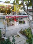 Ceylan Mobilya (Gümüşpala Mh. E5 Yanyol No:128/A, Gümüşpala, Avcılar, İstanbul), mobilya mağazaları  Avcılar'dan