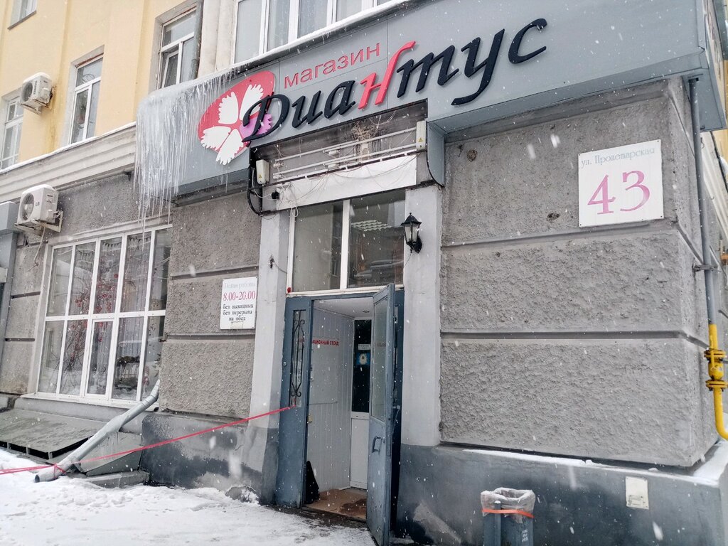 Магазин Диантус Мурманск На Свердлова Каталог Товаров