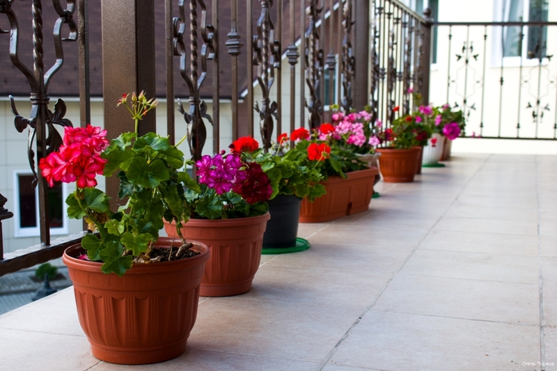 Фото Отель Торжок